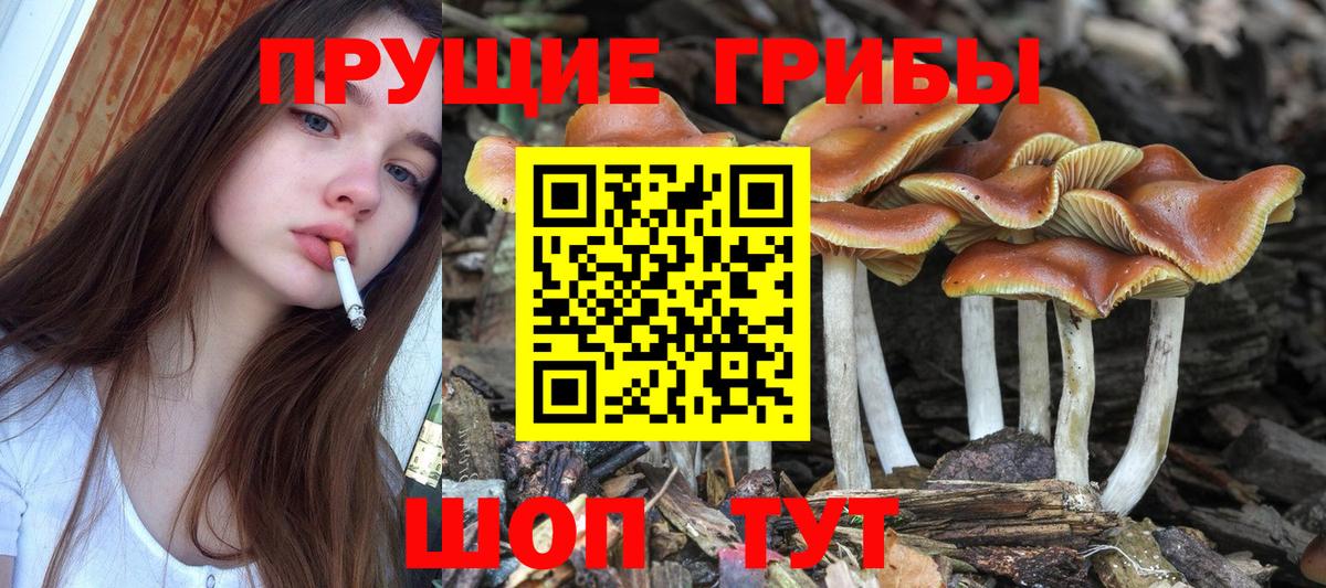 Галлюциногенные грибы мухоморы  Вход с VPN  Северск  Псилоцибиновые грибы мухоморы 